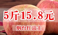【烟台苹果】水果新鲜栖霞红富士农家自种脆甜不打蜡特产孕妇5斤包邮